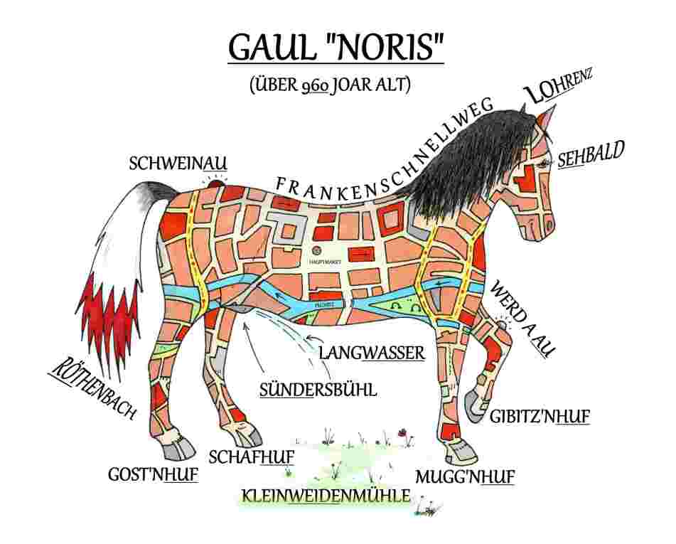GAUL NORIS klein